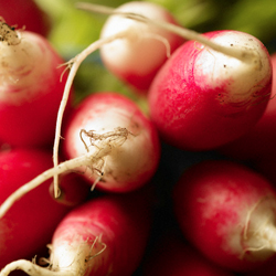 Attitudes imposed treaty expensive temperatures Attitudes imposed treaty expensive temperatures